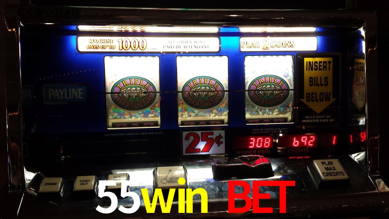Tennis Betting 55win bet